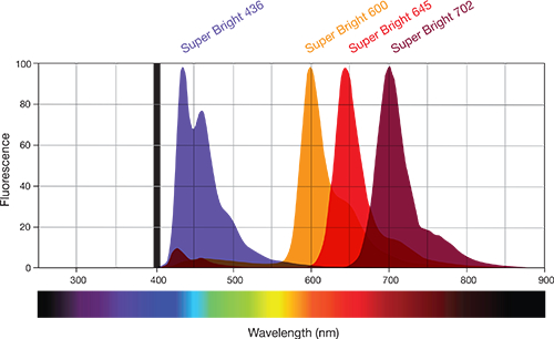 Emission spectra of Super Bright 436, Super Bright 600, Super Bright 645, and Super Bright 702 polymer dyes