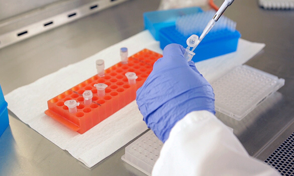 PCR, contamination, blog, DNA, tips